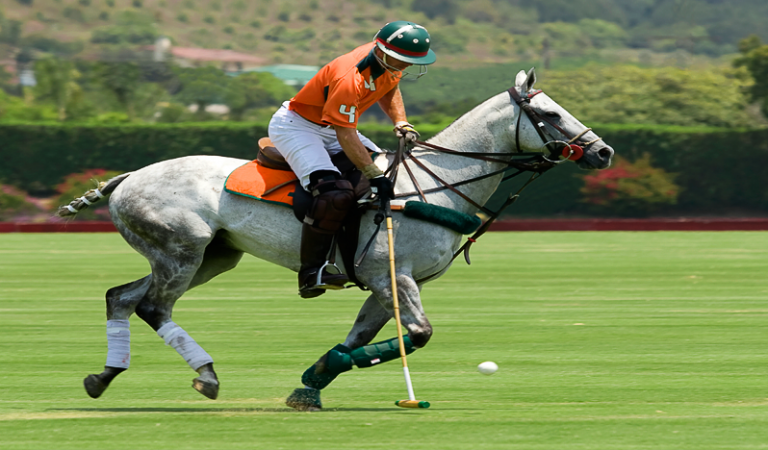 Polo, the Sport of Kings and British Boarding Schools - Panoba