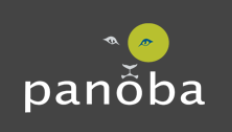 Panoba logo