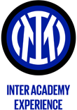Custom Link Inter Milan Academy logo